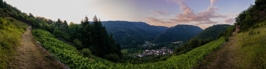 Fototapeta na wymiar Lumière matinale sur le vignoble en Palhàs de la vallée de l'Alagnon, Molompize, Cantal, Auvergne-Rhône-Alpes, France