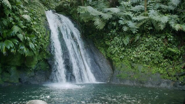 Guadeloupe Cascade aux Ecrevisses Waterfall 02
