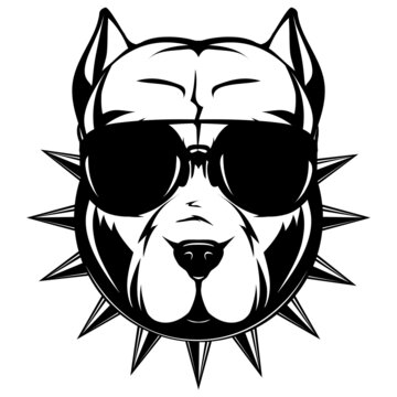 Abstract vector black and white illustration portrait of fighting dogs. Head of dog breed pit bull in sunglasses and collar with spikes.