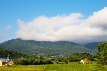Fototapeta na wymiar Carpathian nature in summer