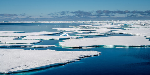 Geometrical looking Icefloats pictured inside Larsen A inlet with blue sky and calm seas