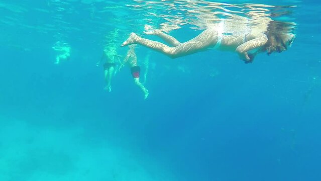 People snorkel underwater and take pictures of coral and fish. Overall plan