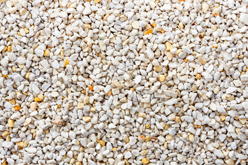 Background of small white sea stones. rocky surface