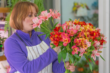 Horizontal photo of a bouquet of alstroemeria for a birthday or holiday. Florist at work