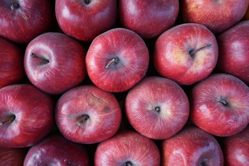 red apples lined up, overhead