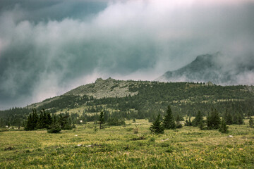 Cloudy mountain and green forest