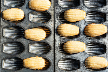 above view of vintage metal shell shaped molds baking pan with freshly baked Madeleine cookies