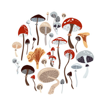 mushrooms circle arrangement, various colors clip art preview