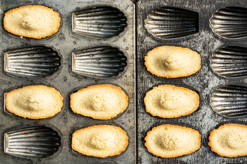 above view of vintage metal shell shaped molds baking pan with freshly baked Madeleine cookies - 502260408