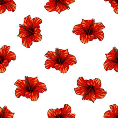 Hibiscus red flowers vector seamless pattern on white background
