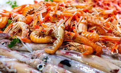 Fish market in Spain. Seafood stall. Shrimps