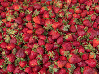Beautiful red ripe strawberry. Close-up, top view.