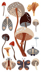 Autumn design in flat style, natural fall elements. Hand-drawn moths and mushrooms clipart. Isolated vector illustration on white background for postcards, textiles, websites and social media