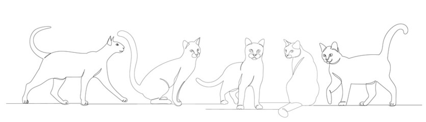 cats drawing by one continuous line, vector