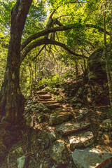 cave in the city of Januaria, State of Minas Gerais, Brazil