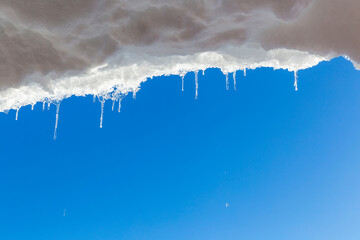 Bright melting icicles with the blue sky in the background. Spring weather with thawing ice