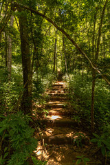 Obraz premium cave in the city of Januaria, State of Minas Gerais, Brazil