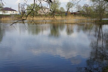 reflection of trees in the water
