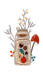 Autumn design in flat style, natural fall elements. Hand-drawn amanita mushrooms, brunches and acorn, cone, leave in the bottle. Magic Isolated vector illustration on white background