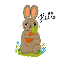 Cute rabbit holding a carrot isolated on a white background. Vector graphics.