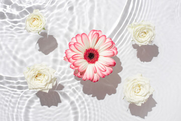 Sunny summer cosmetic background with flowers.