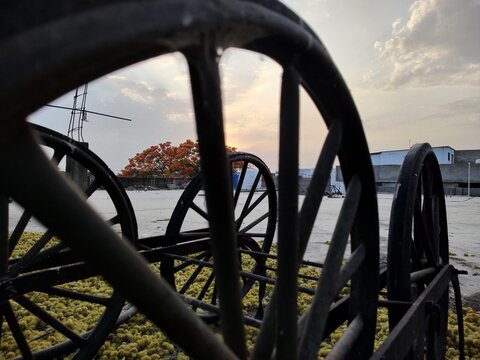 sunset over the bridge