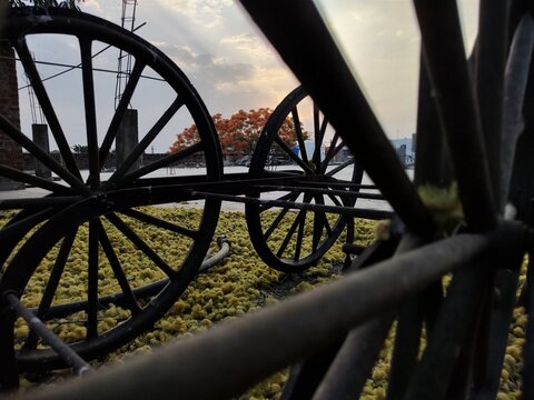 old wheel
