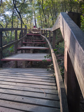 escaleras de madera, parque ecol&oacute;gico chipinque