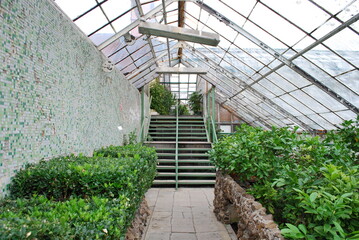 greenhouse interior, glass, plants, structure, building, structure