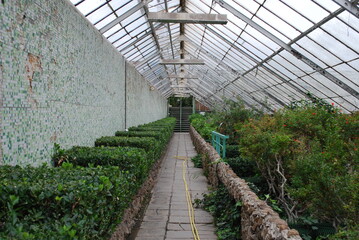 Fototapeta greenhouse interior, glass, plants, structure, building, structure obraz