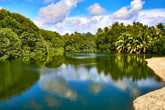 horizontal picture of a lake wih tropical forest in the background and blue sky and white clouds, reflections in the water and sand on the side in puerto escondido oaxaca 