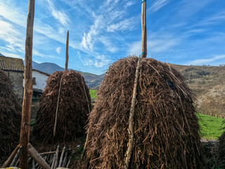 Rural landscape Berroeta village Navarre Spain