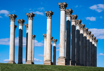 U.S. National Arboretum Columns