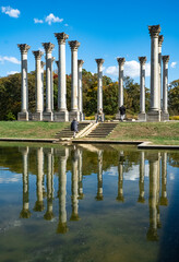 U.S. National Arboretum Columns