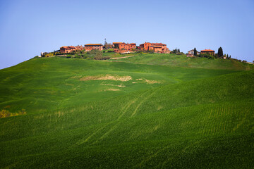 Fototapeta na wymiar Crete Senesi rural landscape. Green fields of Tuscany near Siena, Italy, Europe