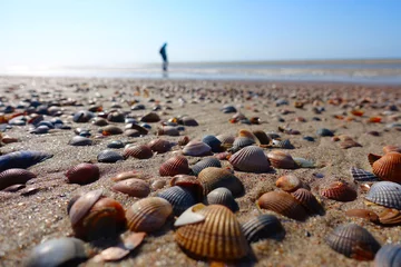 Foto op Plexiglas Many shells in the Netherlands © Vincent Andriessen