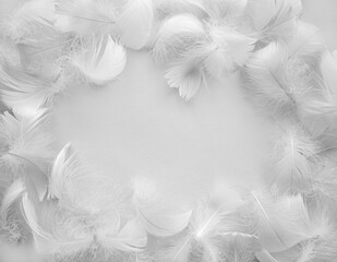 White fluffy bird feathers. Beautiful fog. Message to the angel. Texture of delicate feathers. soft...