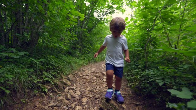 Child hiking outside on green path kid walking outdoors in the woods