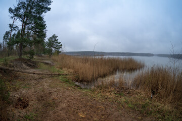 Natural landscape. Lake Senftenberg in cloudy weather. Federal State of Brandenburg. Germany.