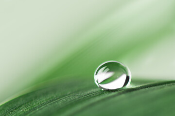 Clean transparent water drop on grass leaf closeup. Grass with water bubble, spring summer...