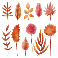 Obraz premium Set of watercolor leaf elements.