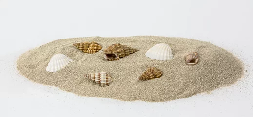 Tuinposter Lieve mosters Vakantie en strand. Close up van schelpen op zand