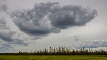 gr&uuml;ne Wiese vor dramatischem Himmel