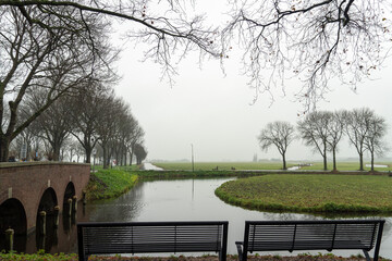 Obraz premium Black sheep graze in green grass near canal in Edam Netherlands.