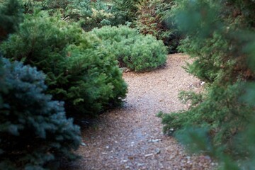 Historic Garden Pathway
