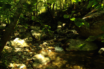 Natura fluviale di montagna collinare - Calabria