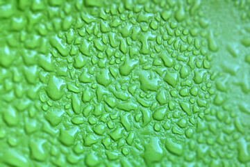 Macro drops green blurred background