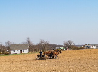 Obraz premium Amish Man Plowing a Field with Farm House Buildings in Background | Holmes County, Ohio
