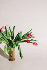 pink tulip bouquet in brass vase against cool white background. copy space.