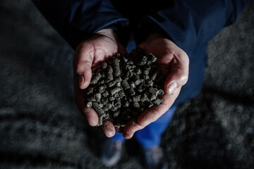 Black bio fuel pellets in human hands, close up view